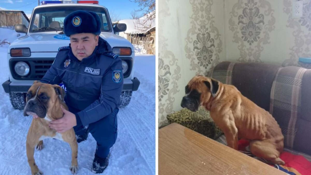 Polisia.kz