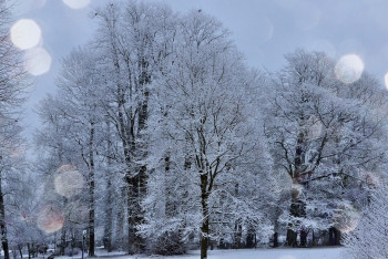 Фотография к новости: Пожилая пара с 3-летним малышом насмерть замерзли на улице