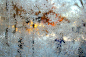 Фотография к новости: Смерть пожилой пары и их трёхлетнего внука прокомментировали в МВД