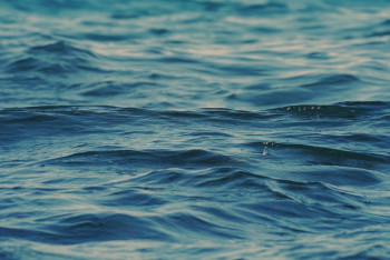 Фотография к новости: Озеро неожиданно образовалось в Атырауской области