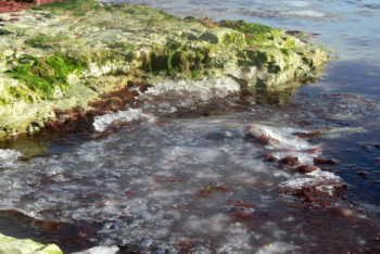 Фотография к новости: Каспий обледенел в Актау