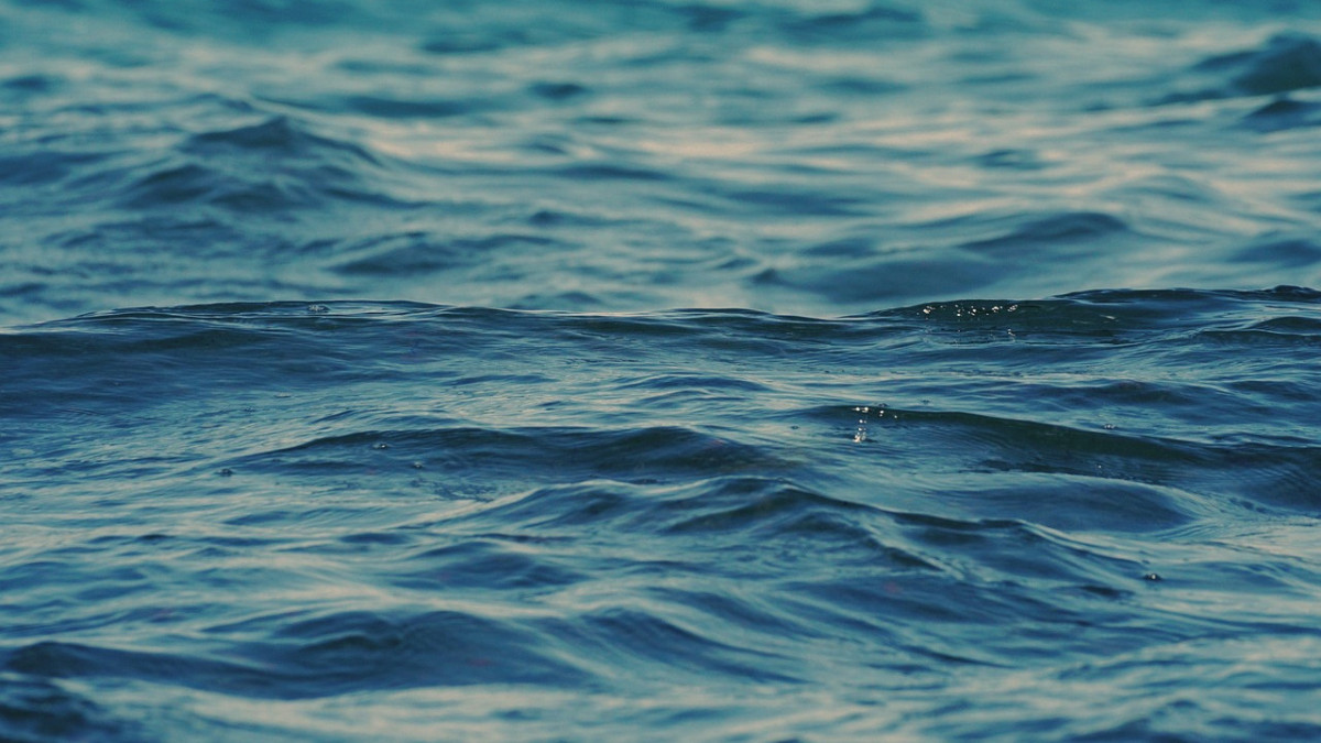 pixabay.com / иллюстративное фото