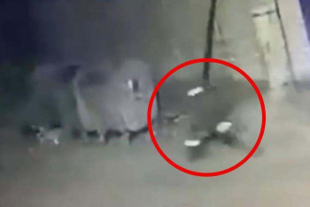 Фотография к новости: В мусорном баке прятался от полицейских автоугонщик в Атырау