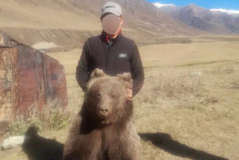 Фотография к новости: Застрелил краснокнижного зверя: полиция ищет преступника в области Жетысу