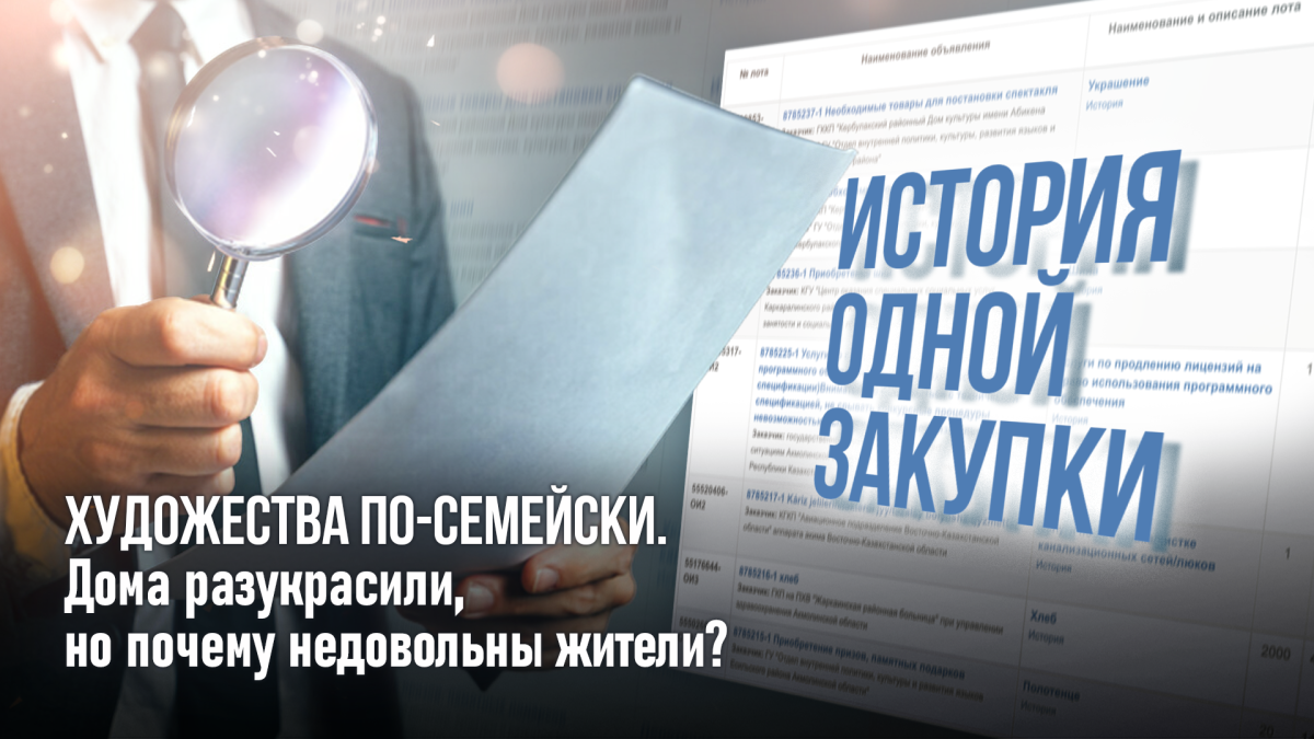 История одной закупки: Художества по-семейски. Дома покрасили яркими красками, но почему недовольны жители?