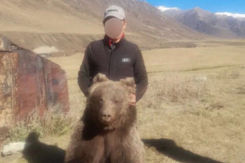 Фотография к новости: Фото с медведем: задержан подозреваемый в отстреле краснокнижного зверя