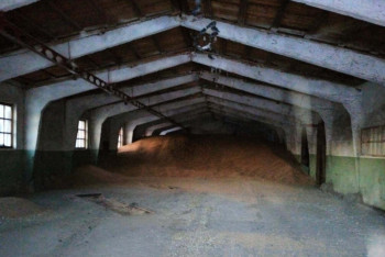 Фотография к новости: Кражу зерна на 1,6 млн тенге раскрыли в СКО