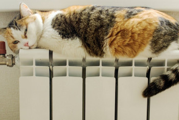 Фотография к новости: Жители 36 многоэтажек остались без тепла в Семее