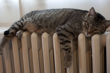 Фотография к новости: В Семее восстановили работу теплоисточника