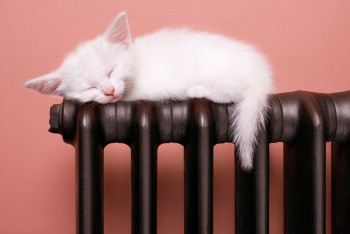 Фотография к новости: Теплотрасса восстановлена после аварии в Астане. В ЖК дали тепло