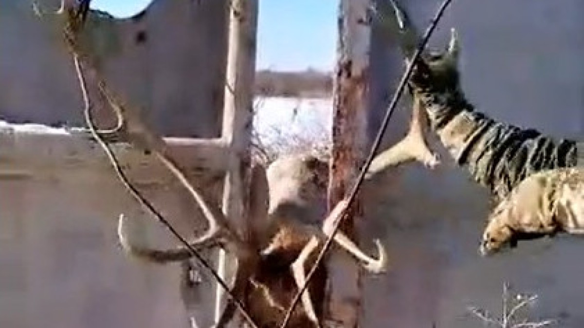 tiktok.com/ramir_hunter