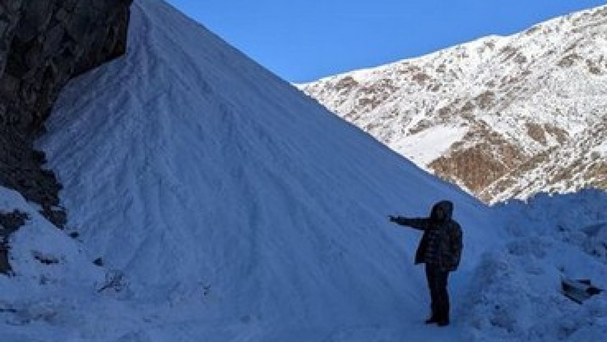 instagram.com/kazselezashita