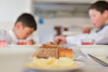 Питание в детсадах сделают бесплатным для детей из малообеспеченных семей