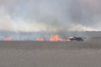 Фотография к новости: Седьмые сутки тушат пожар на побережье Каспийского моря