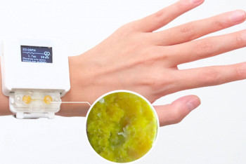 Фотография к новости: Учёные изобрели смарт-часы с живым существом внутри. Его надо кормить