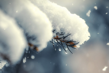 Фотография к новости: Какой будет погода 19 декабря в Казахстане