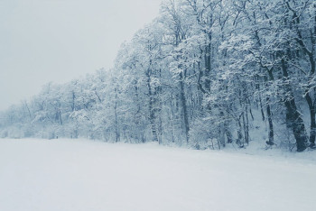 Фотография к новости: Штормовое предупреждение: На большей части Казахстана ожидается метель и ветер