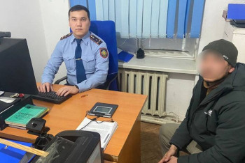 Фотография к новости: Мужчина заколол вилами лебедя в Кызылординской области