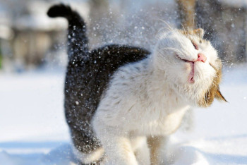 Фотография к новости: Неустойчивая погода ожидается в Казахстане