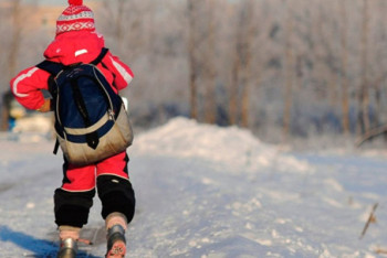 Фотография к новости: Сколько дней отдохнут казахстанские школьники на зимних каникулах