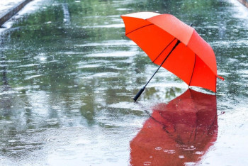 Фотография к новости: Дождь прогнозируют синоптики в ряде регионов Казахстана