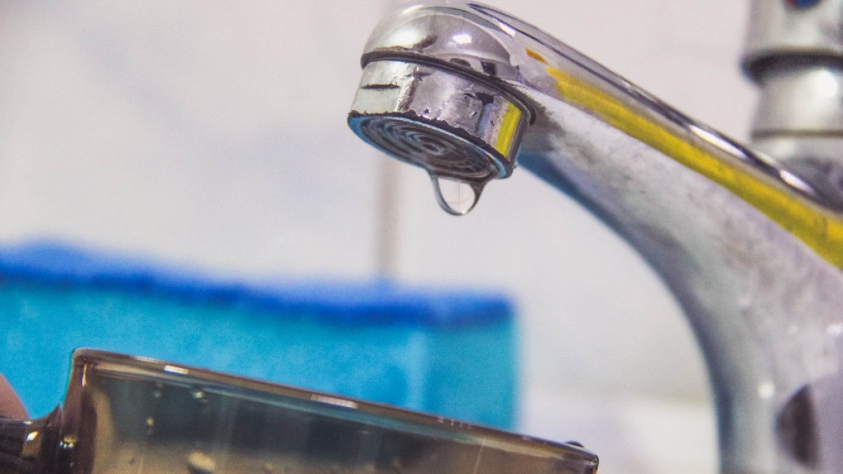 Константина Шелкова