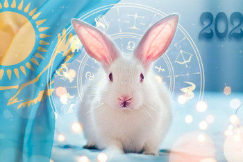 Фотография к новости: Что новый год готовит нам: прогноз астролога, нумеролога и таролога