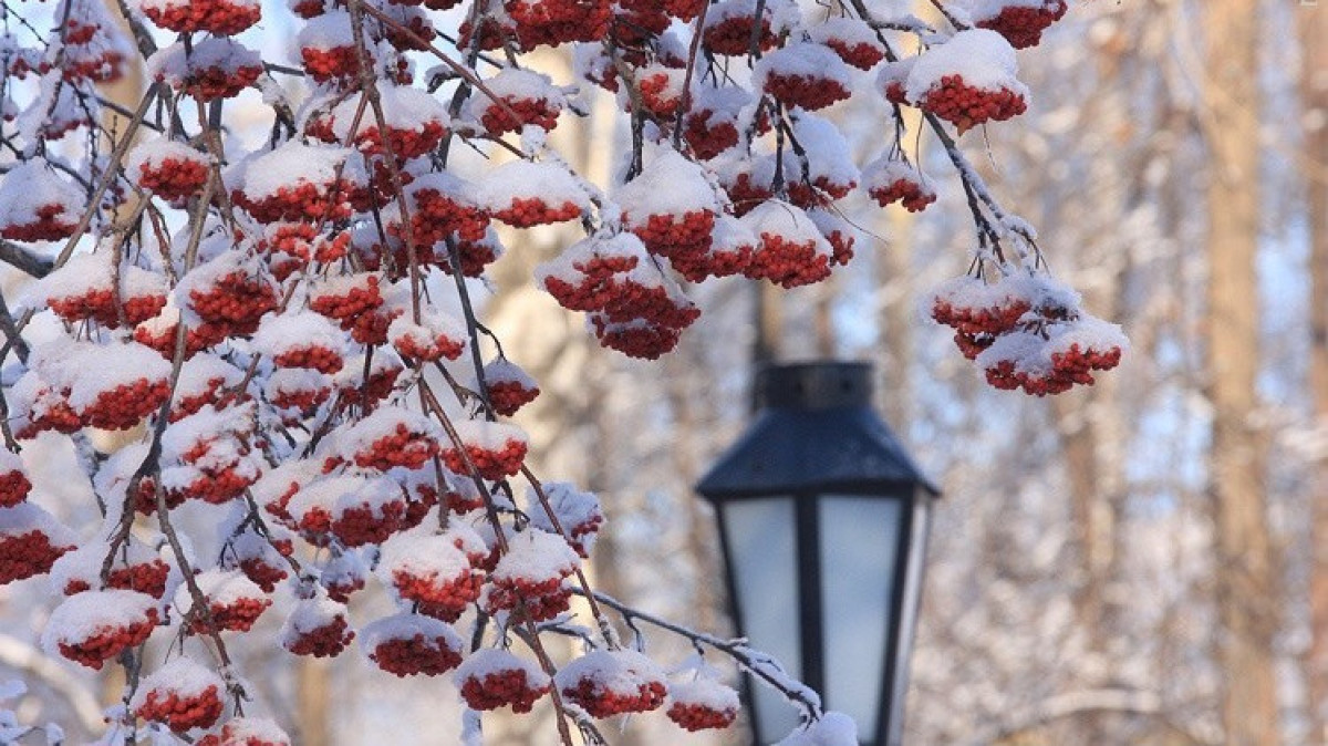 Иллюстративное фото