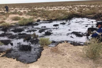 Фотография к новости: Виновного в разливе нефтепродуктов в степи нашли и оштрафовали в Атырауской области