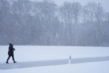 Фотография к новости: Метель, туман и ветер: какой будет погода 3 января в Казахстане