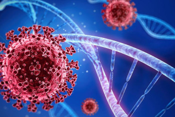 Фотография к новости: Эпидситуацию по коронавирусу прокомментировала главный санитарный врач Казахстана