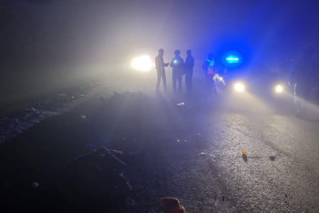 Фотография к новости: Иномарка насмерть сбила двух пешеходов под Талдыкорганом