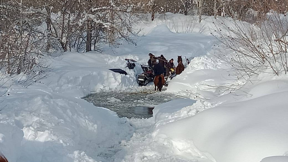 акимат Абайской области