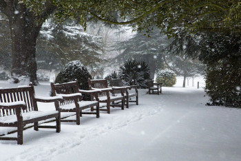 Фотография к новости: Морозы до -43 градусов прогнозируют метеорологи в Казахстане