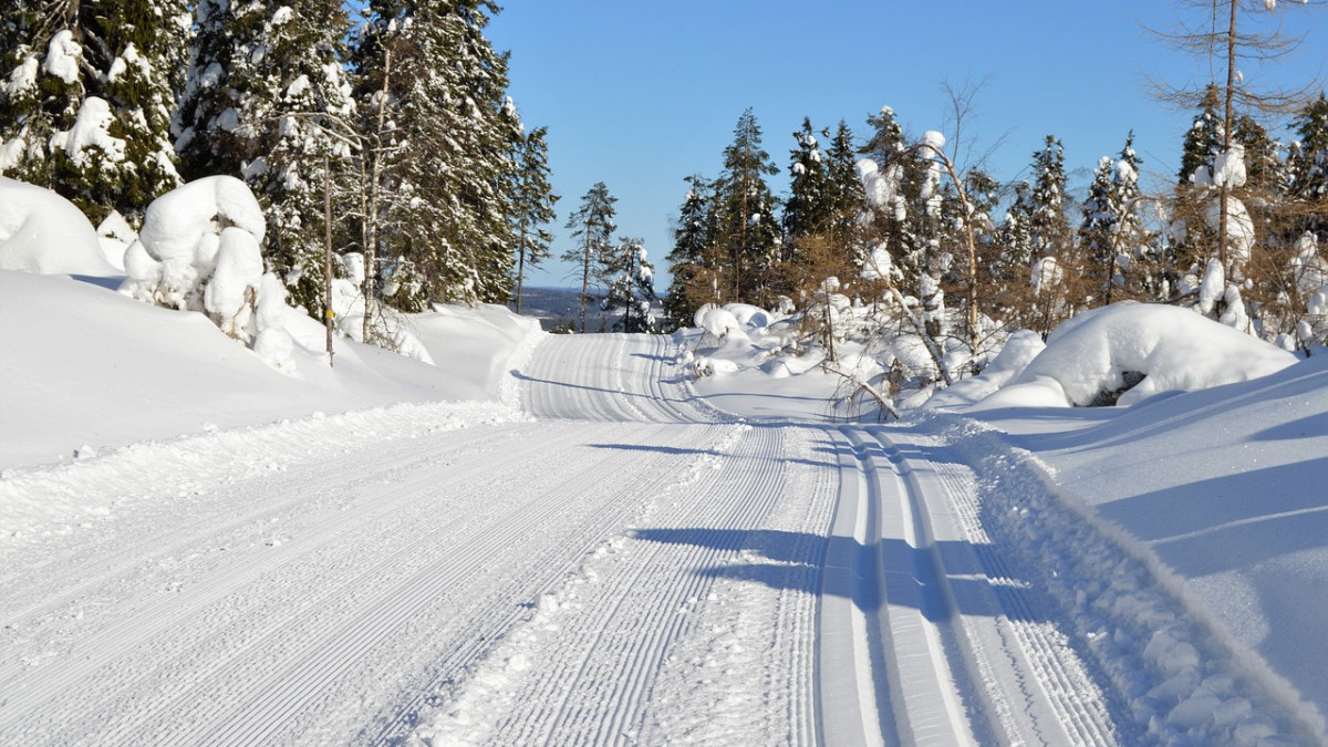 pixabay.com / иллюстративное фото