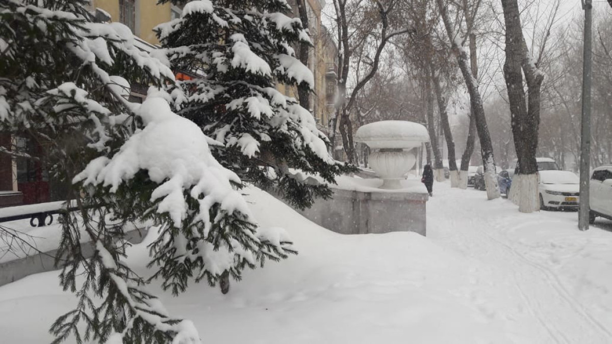 BaigeNews.kz/ Анастасия Пучкова