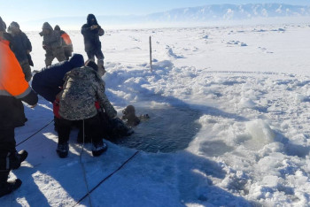 Фотография к новости: Тело утонувшего водителя отыскали водолазы подо льдом Алаколя