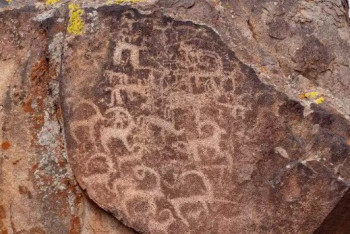 Фотография к новости: Петроглифы Архарлы находятся под охраной государства