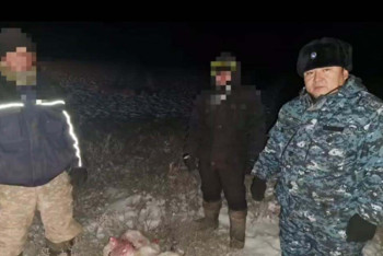 Фотография к новости: Сайгаков отстреливали в заповеднике в Жамбылской области