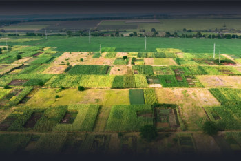 Фотография к новости: Интерактивная карта возвращённых сельхозземель появилась в Казахстане