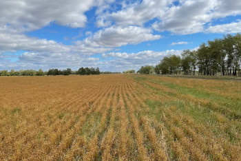 Более 5 млн гектаров сельхозземель возвращено государству