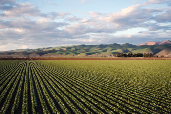 Цифровую карту сельхозугодий Казахстана составят к 2024 году