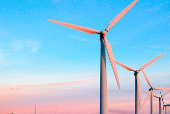 Фотография к новости: Инвестор из ОАЭ построит мощную ветровую электростанцию в Туркестанской области