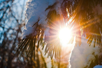 Фотография к новости: Какой будет погода в ближайшие три дня в Казахстане