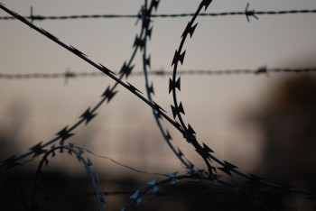 Фотография к новости: Карантин объявлен в приграничном с Казахстаном российском регионе