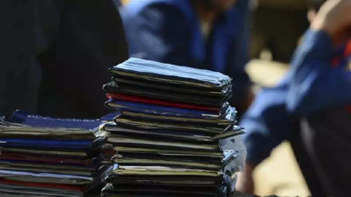 Иностранец организовал в Казахстане канал незаконной миграции