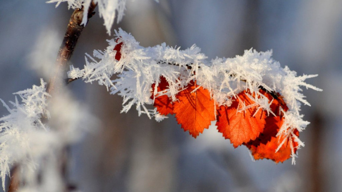 Иллюстративное фото