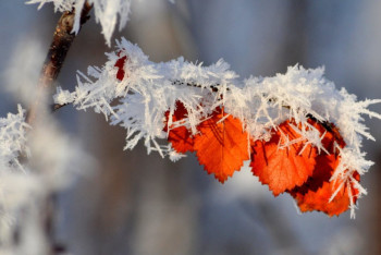 Фотография к новости: Какой будет погода на выходных в Казахстане