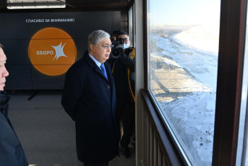 Фотография к новости: Проект по производству горячебрикетированного железа презентовали главе государства