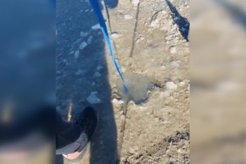 Фотография к новости: Темпы обмеления Каспия показал казахстанский блогер